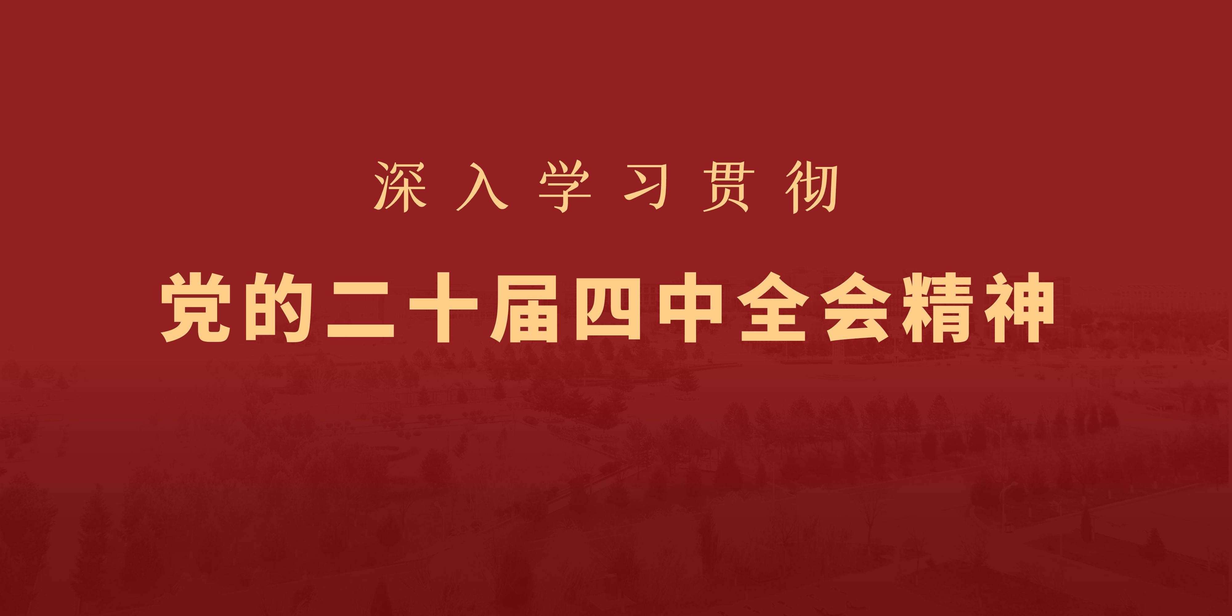 党的二十届四中全会